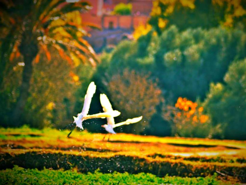 Hotel Restaurant La Kasbah タンギール エクステリア 写真